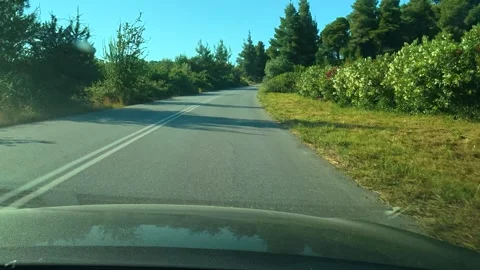 Sunlight bathes a quiet road lined with green trees. Chalkidiki, Greece Видео 339025367