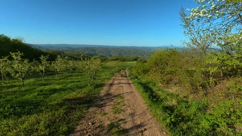 Sunlight bathes a quiet rural path. Balkan, Eastern Europe, POV Видео 333844401