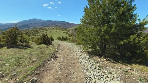 Sunlight bathes a rocky trail through green pines. Balkan, Eastern Europe, POV Stock Footage 333442392