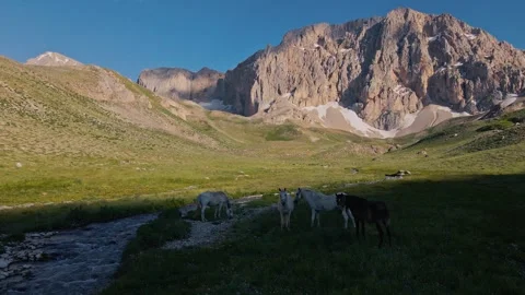 Sunlight bathes a rugged mountain range Stock-Footage 332572751
