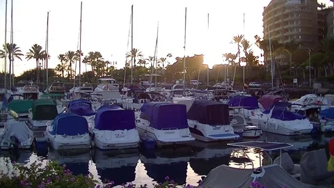Sunlight in a bay with sailboats Stockbeeldmateriaal 80230638