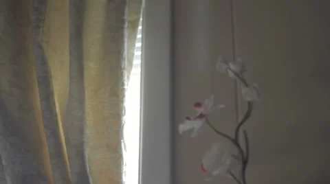 Sunlight Beaming Through the Curtains and Blinds Stock Footage 922134