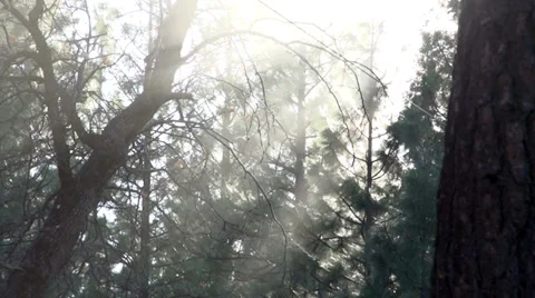 Sunlight Beaming Through Stock Footage 32920698