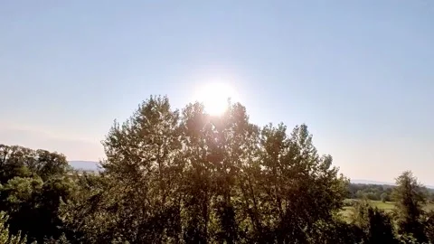 Sunlight beaming through tree leaves 動画素材 224159110
