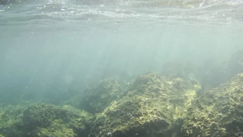 Sunlight beams piercing through the clear water, illuminating rugged underwater Vidéo 343247766
