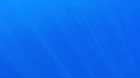 Sunlight beams shining through ocean water Stock Footage 136339495