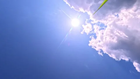 Sunlight beams through green leaves in bright blue sky Stock Footage 319566064
