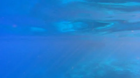 Sunlight beams through water surface creating bright rays - Ocean Rays Stock Footage 339976271
