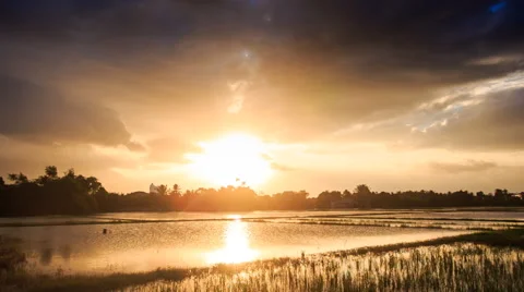 Sunlight from behind Clouds over Water Rice Fields at Sunset Stock Footage 59185144