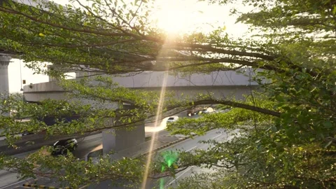 Sunlight behind the leaves and over the toll road Stock Footage 285160838