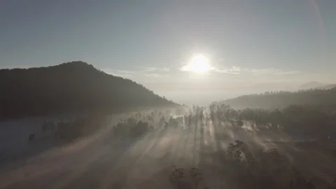 Sunlight behind the mountains with thick fog in the morning Stock Footage 296264891