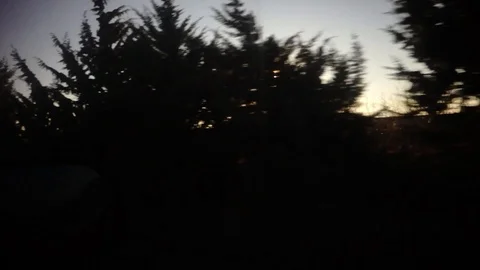 Sunlight behind a row of tall tries during sunrise through a car Stock Footage 120569117