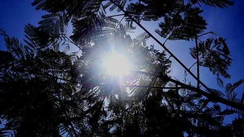 Sunlight blue Foto stock