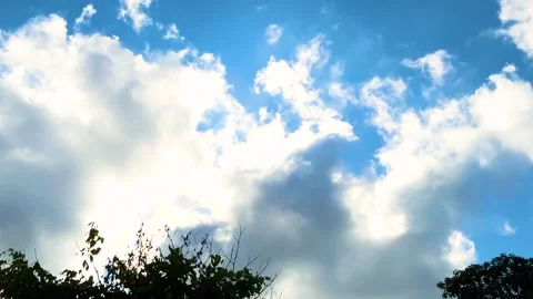Sunlight on blue sky with silhouette trees border insects and little bird flying Stock Footage 311901183