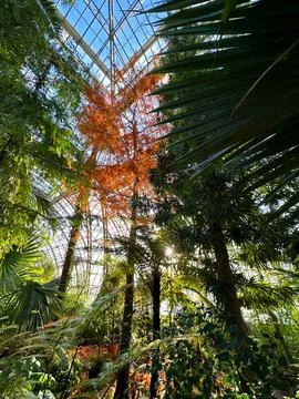 Sunlight in Botanical Garden Stock Photos
