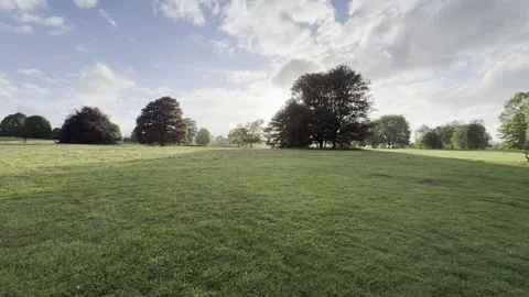 Sunlight breaking through clouds over green park Vídeos de archivo 335541246