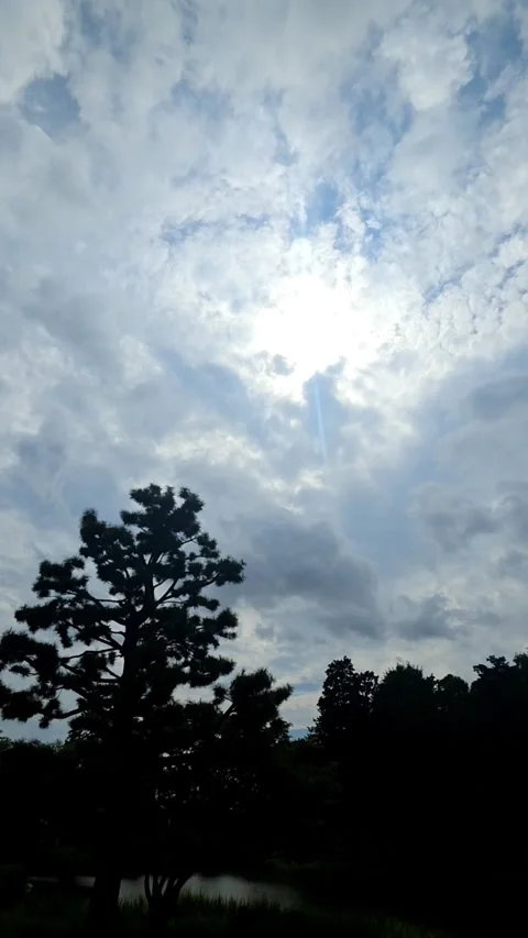 Sunlight Breaking Through Dramatic Clouds Above Tree Silhouettes Video stock 343256771