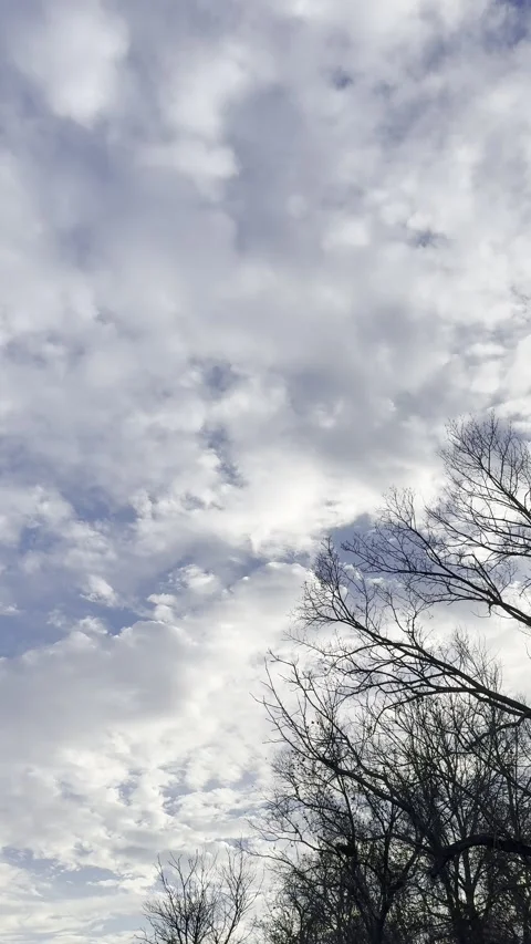 Sunlight Breaking Through Dramatic Clouds Above Bare Trees Video stock 344717270