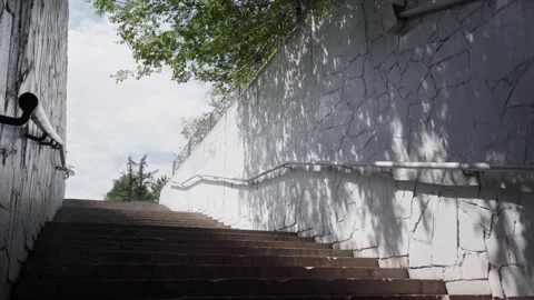  Sunlight, breaking through the foliage, illuminates the underpass Vídeos de archivo 245345313