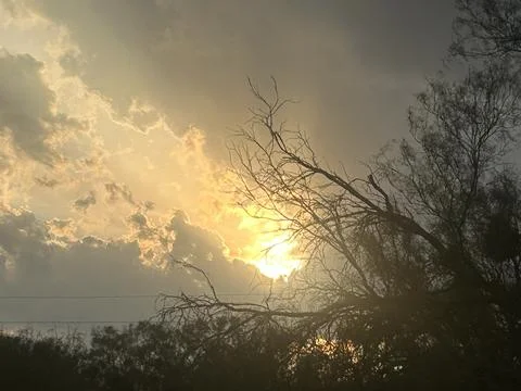 Sunlight Breaking Through Storm Clouds Above Texas Trees Fotos Stock