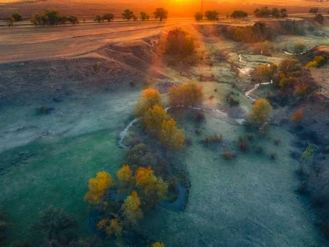 Sunlight breaking through trees along rural stream at dawn Fotos Stock