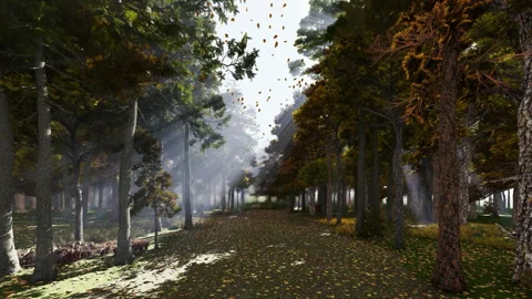 Sunlight breaking through the trees in a forest in autumn time, leaves lifte Stock Footage 251711615