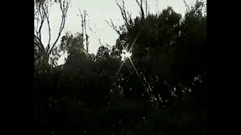 Sunlight breaking through trees in retro home video look Видео 330247509