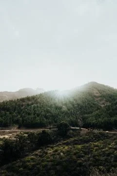 Sunlight breaks through mist over lush green mountains during early morning Stock Photos