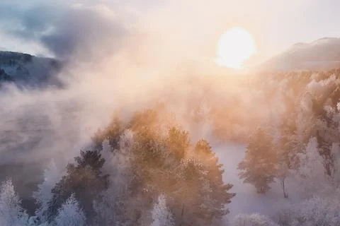 Sunlight breaks through misty clouds, reflecting on snowy trees in Krasnoya.. Foto stock