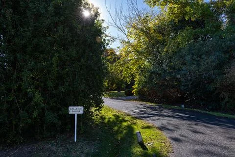Sunlight breaks through trees beside a quiet gravel path Stock Photos