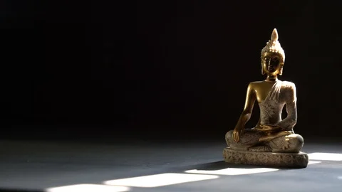 Sunlight on buddha while meditating Stock Footage 119696584