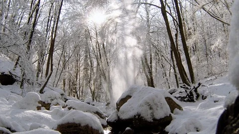 Sunlight bursts through snow covered trees Stock Footage 95756214