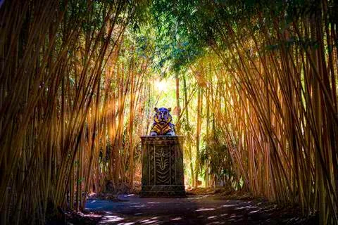 Sunlight busting thru Bamboo Illuminating Holy Statue Stock Photos