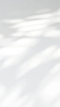 Sunlight casting a blurred window shadow on a neutral white wall background Illustrazione stock