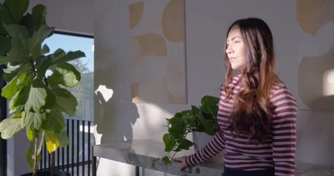 Sunlight casting leaf shadows drawing Asian adult woman at home by marble table Stock Footage 337730085