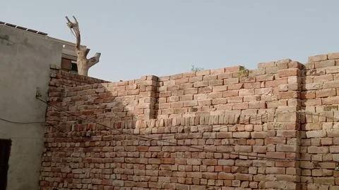 Sunlight Casting Natural Patterns Across a Wall Video stock 347036324