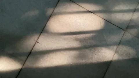 Sunlight casting shadows of window Stock Footage 340328884