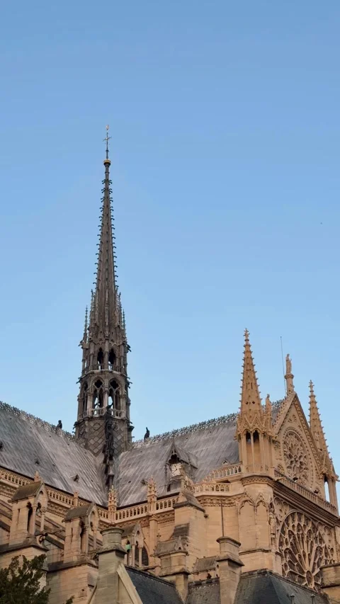 Sunlight casting warm glow on the historic spire and facade of Notre Dame de Stock Footage 340863223