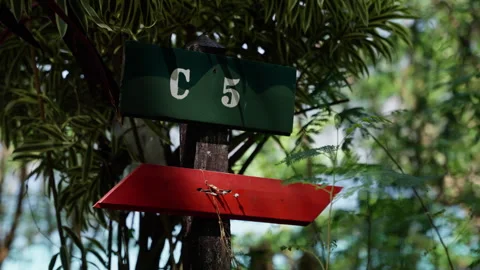 Sunlight casting warm glow on weathered wooden signpost marking campground amid Video stock 308678003