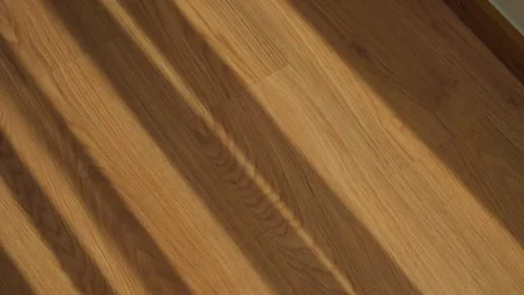 Sunlight casts diagonal shadows across warm wood flooring 動画素材 338098001