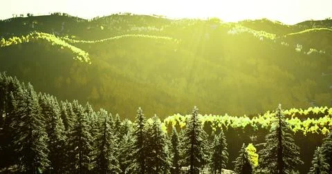 Sunlight casts golden hues over a forested mountain landscape in autumn Ilustração Stock
