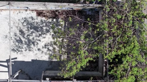 Sunlight casts shadows on a weathered concrete wall Stock Footage 339783067