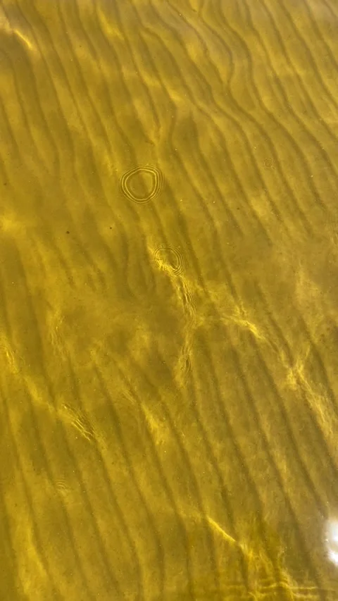 Sunlight caustic light reflections on the sandy bottom of a clear river Video stock 336398453
