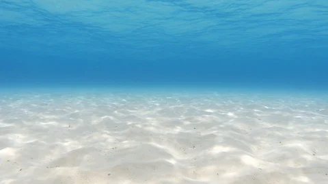 ocean floor sand