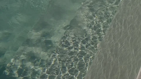 Sunlight Caustics Over Pebbles And Sand In Clear Shallow Water Stock Footage 343706128