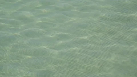 Sunlight Caustics on Sandy Seabed in Clear Shallow Sea Gijon Spain Stock Footage 336449019