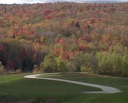 Sunlight changes in Autumn. Stock-Footage 49219329