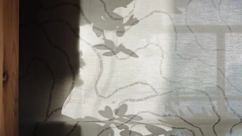 Sunlight coming through curtains creates shadows in home interior space Stock Footage 339592716