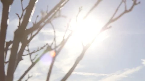 Sunlight coming through tree in Omaha, Nebraska 스톡 동영상 84075644