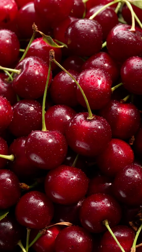 Sunlight creates a dynamic play of light and shadow on the pile of cherries. 動画素材 314179436